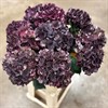HORTENSIA SNITT MAGICAL DARK RED CLASSIC